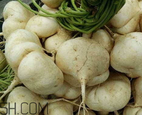 白地瓜什么季节吃,白地瓜什么时候种植最好