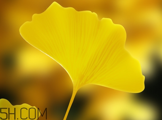 银杏叶片可以降血脂吗?,银杏叶片能降血脂吗? 银杏叶片可以降血脂吗?,银杏叶片能降血脂吗?