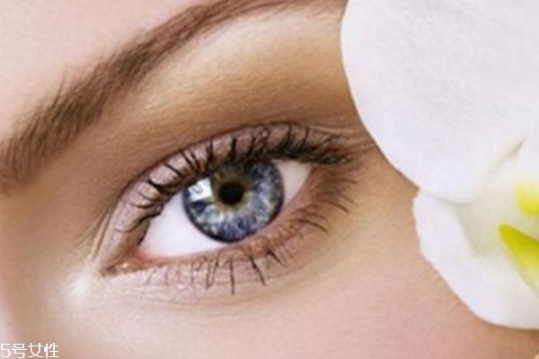 眼霜有什么用,眼霜有啥作用