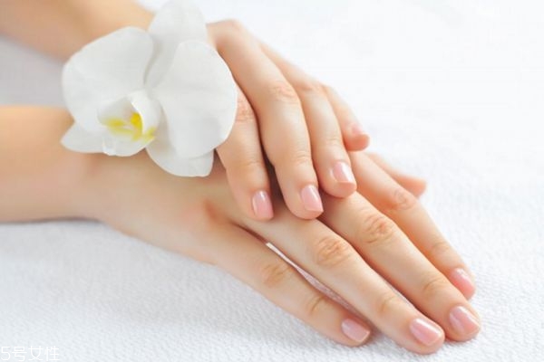 什么牌子的护手霜最好用效果最好,绵羊油护手霜的功效 什么牌子的护手霜最好用效果最好,绵羊油护手霜的功效