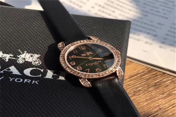 dior手表好不好,价格是多少,蔻驰手表属于什么档次