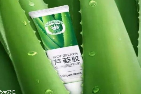 雅丽洁芦荟胶好用还是完美芦荟胶好用,雅丽洁芦荟胶怎么用