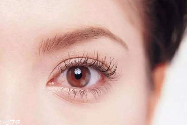 眼霜到底有没有效果,眼霜真的有用吗 眼霜到底有没有效果,眼霜真的有用吗