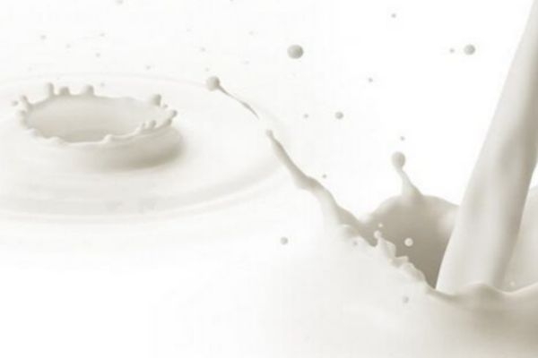牛奶怎么洗脸才能美白,怎样用牛奶洗脸美白 牛奶怎么洗脸才能美白,怎样用牛奶洗脸美白