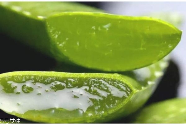 用芦荟祛痘的正确方法,芦荟祛痘怎么用