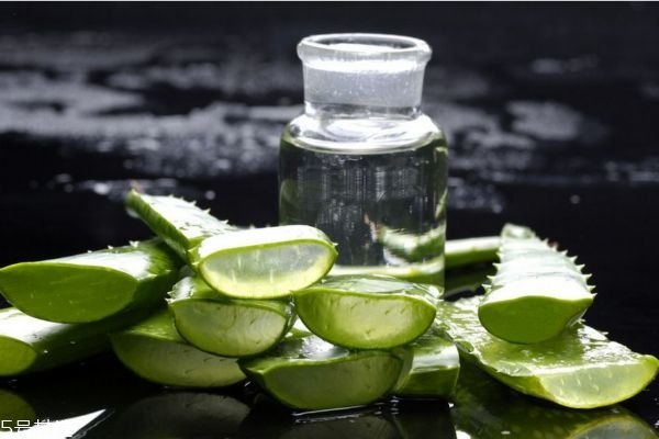 芦荟胶的作用和功效,芦荟胶的作用和功效可以去痘痘吗