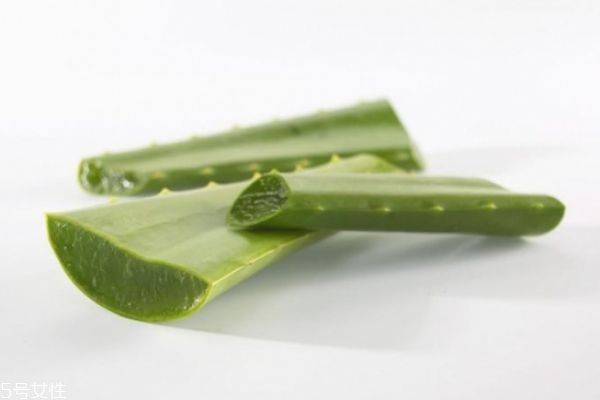 鲜芦荟祛痘的正确用法,芦荟祛痘怎么用