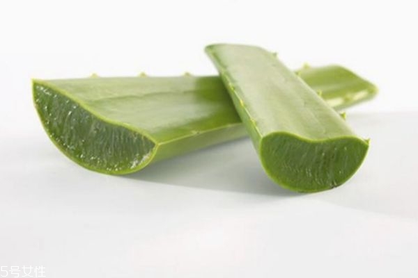 如何自制芦荟蜂蜜面膜,芦荟胶蜂蜜面膜自制