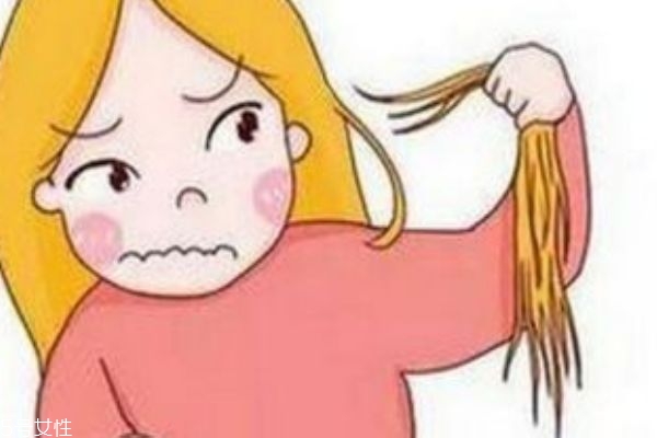 毛欢药用育毛剂怎么样,毛欢育发剂有用吗