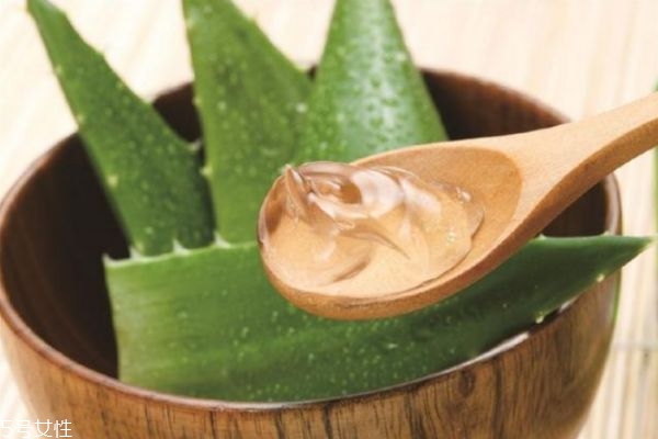 怎样自制芦荟胶的正确用法,怎样制作芦荟胶 怎样自制芦荟胶的正确用法,怎样制作芦荟胶