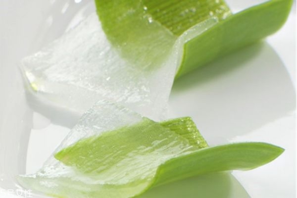 新鲜芦荟涂脸正确方法图片,芦荟涂脸的正确方法