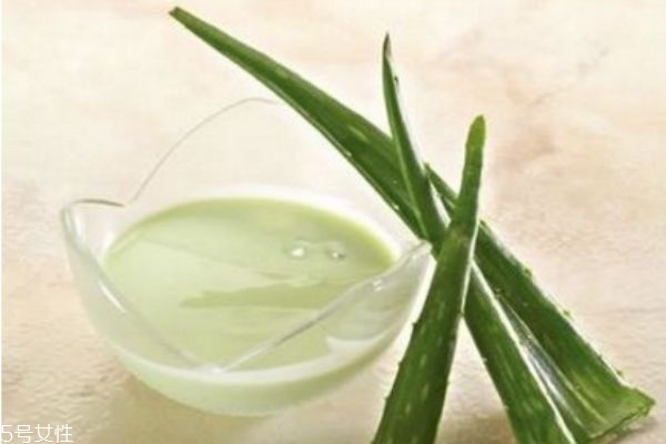 芦荟补水面膜,芦荟面膜的正确用法 芦荟补水面膜,芦荟面膜的正确用法