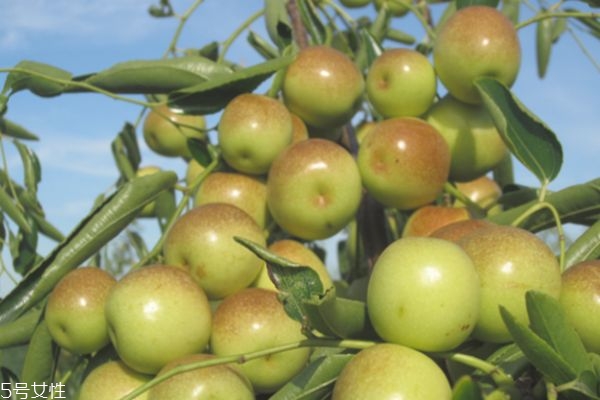 可以美白的食物和水果,有哪些吃了可以美白的产品