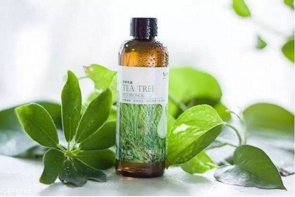 人参纯露的正确用法,纯露的正确用法