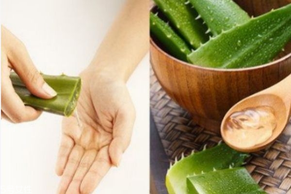 新鲜芦荟可以直接抹吗,可以用新鲜芦荟涂抹在脸上吗