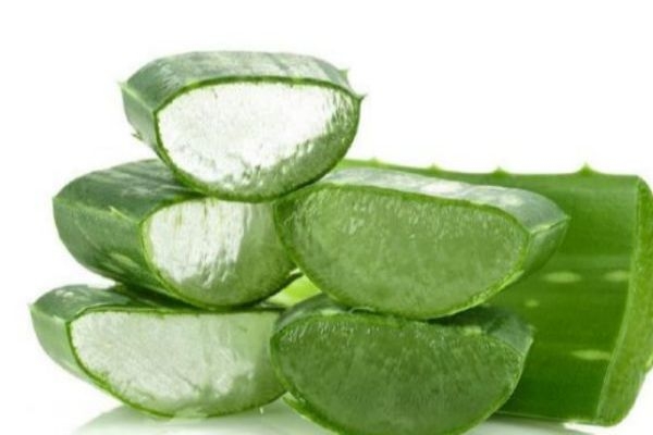 芦荟胶真假怎么辨别完美芦荟胶,芦荟胶真假怎么辨别芦荟胶