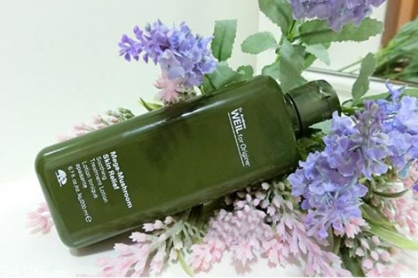 菌菇水介绍,菌菇水是什么 菌菇水介绍,菌菇水是什么