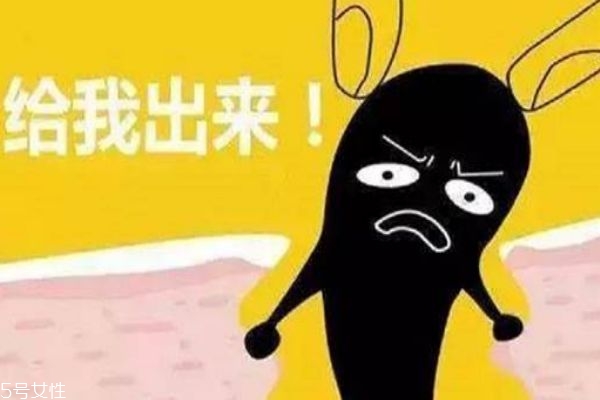 去黑头步骤黑头导出液,黑头导出液要洗吗