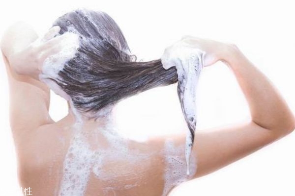 润膏洗发水好用吗,洗发润膏是洗发水吗