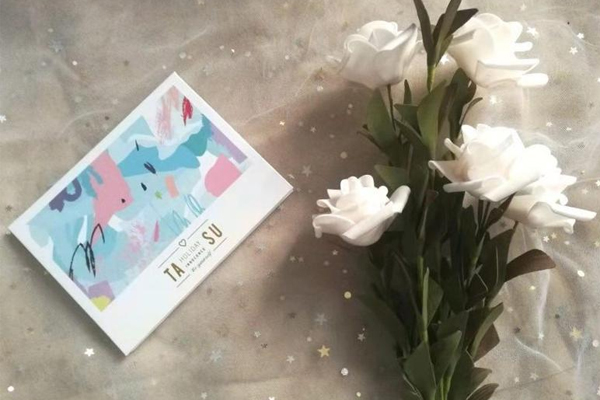 tasu她素眼影怎么样,tasu她素是哪里的牌子