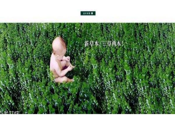 三草两木适合什么年龄使用,三草两木适合什么年龄的人 三草两木适合什么年龄使用,三草两木适合什么年龄的人