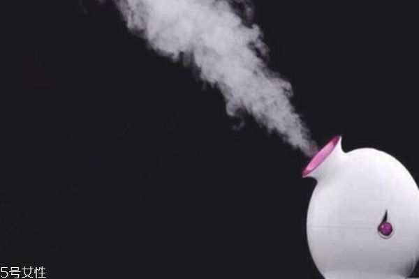 蒸脸器可以放牛奶吗,蒸脸仪器可以放牛奶吗