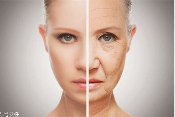 伊丽莎白雅顿金胶功效,雅顿金胶怎么用效果好