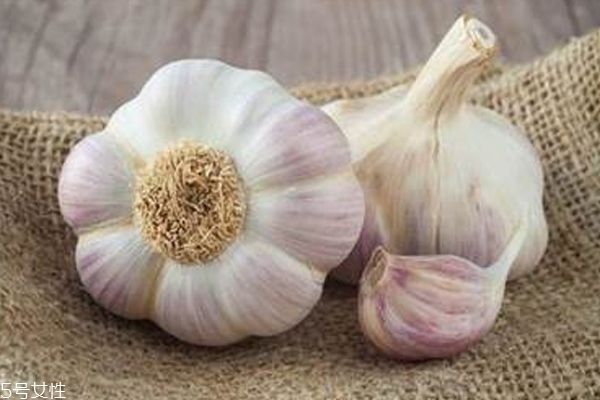 美容的功效,美容养颜的东西