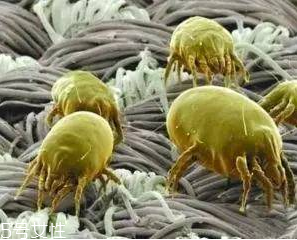 纯棉毛巾的优点,纯棉毛巾的卖点