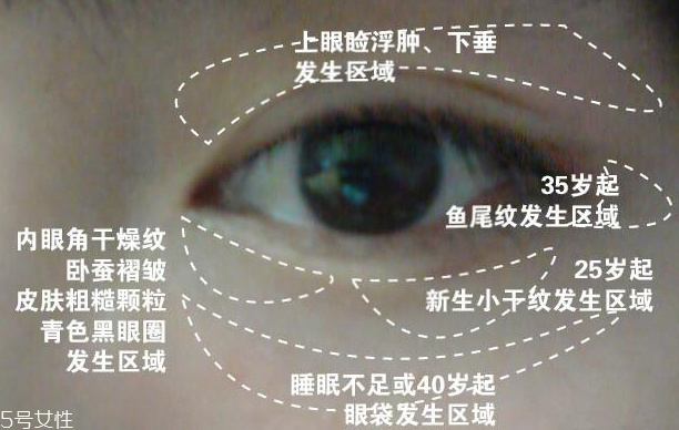 眼霜的使用范围,眼霜的涂抹范围