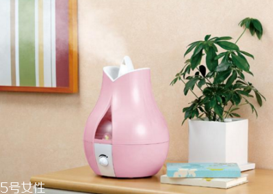 加湿器里可以加什么,加湿器中加什么好