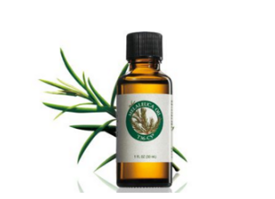 孕妇茶树精油能用吗,茶树精油对孕妇的危害