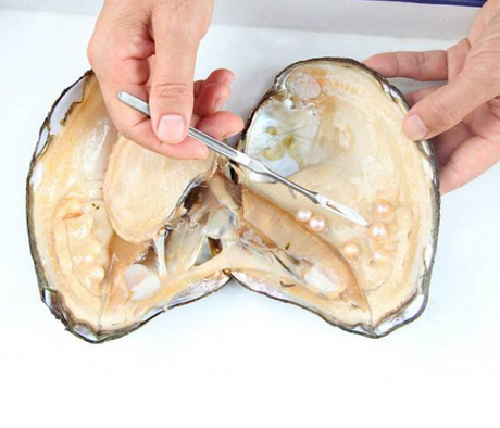 珍珠粉的使用方法,如何正确使用珍珠粉