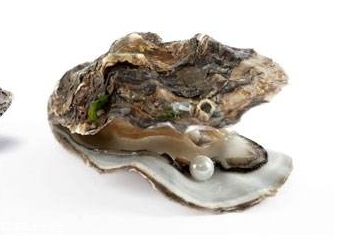 蛋清珍珠粉面膜功效,蛋清珍珠粉面膜一次用不完放第二天能用吗