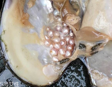 珍珠粉对皮肤有什么好处,珍珠粉能天天用吗珍珠粉对皮肤好吗