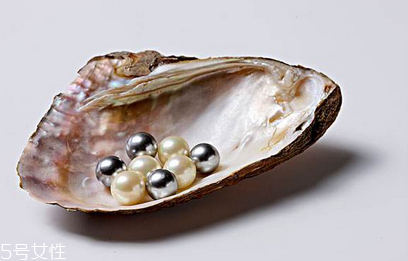 珍珠粉什么牌子的好,珍珠粉的作用和功效