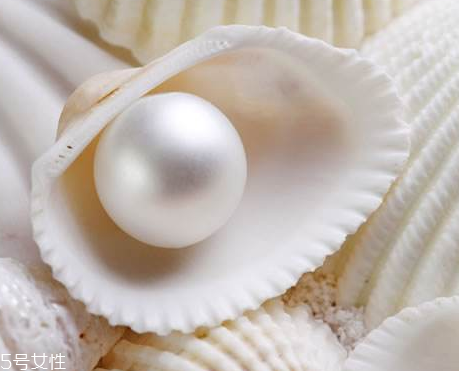 珍珠粉怎么买,珍珠粉怎么使用