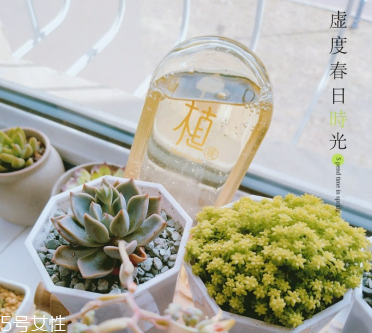 植观洗发水怎么样,植观洗发水怎么样知乎
