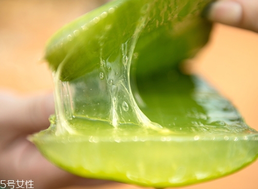 丝瓜水和芦荟水哪个好用,丝瓜水和芦荟水哪个好