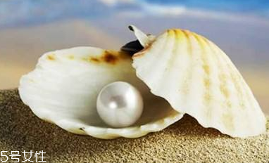 珍珠粉做面膜的正确用法,珍珠粉加什么做面膜