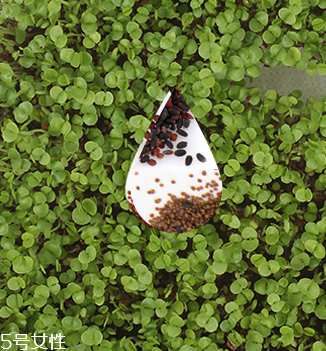海藻的禁忌,海藻怎么泡