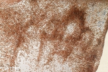 真的海藻面膜会发芽吗,真正的海藻面膜会不会发芽