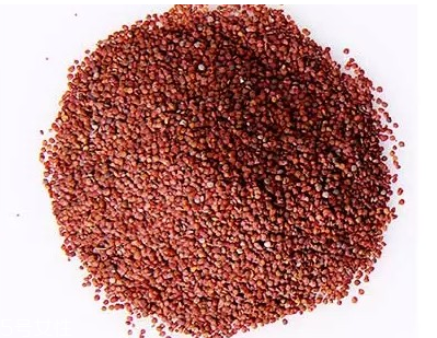 敷海藻面膜的正确方法,海藻面膜怎么用才正确 敷海藻面膜的正确方法,海藻面膜怎么用才正确