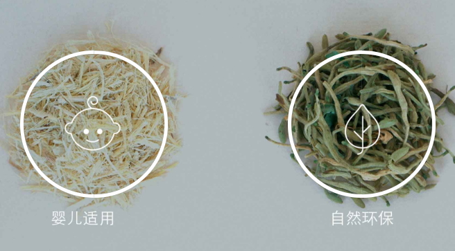 人类起源于什么古猿,猿是人类的祖先吗