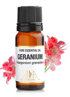 天竺葵精油的功效和作用油祛痘效果,天竺葵油的美容功效和作用