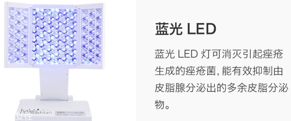 beiglum哪个国家,beluga