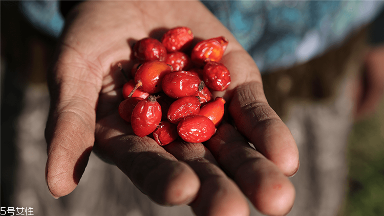 新西兰本土品牌,新西兰知名品牌