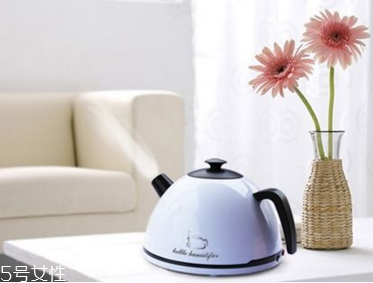 加湿器里不能放什么,为什么要放加湿器