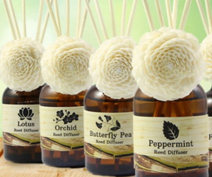 柠檬草有什么用途,柠檬草是什么东西 柠檬草有什么用途,柠檬草是什么东西