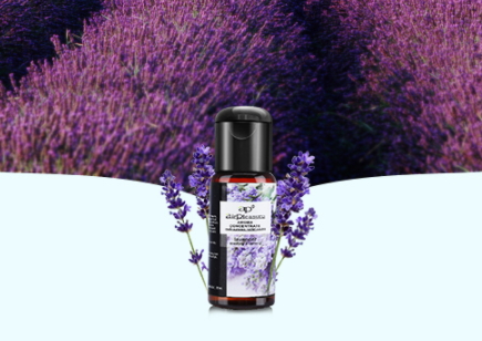 薰衣草精油的美容作用,薰衣草精油的美容功效 薰衣草精油的美容作用,薰衣草精油的美容功效